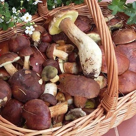 Agroturystyka Rebowo Klodawa  Ngoại thất bức ảnh