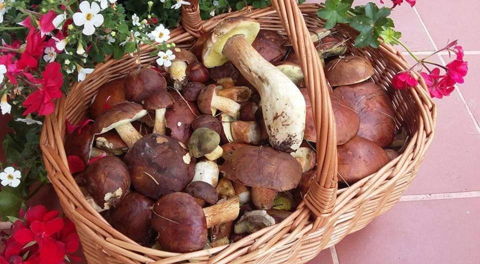 Agroturystyka Rebowo Klodawa  Ngoại thất bức ảnh
