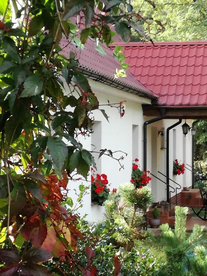Agroturystyka Rebowo Klodawa  Ngoại thất bức ảnh